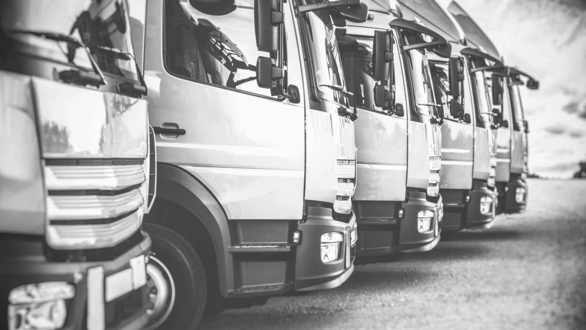 Rampla de TransMax cargada en exclusiva para un solo cliente